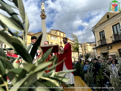 2024-03-24 Domenica delle Palme e della Passione del Signore